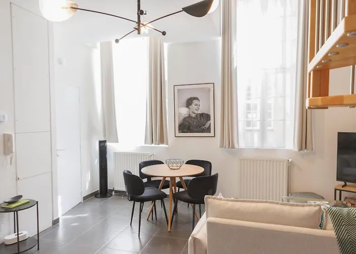 Apartment Le Cosy Glam - Duplex Centre-ville Secteur Pieton * Wifi * Calme Troyes